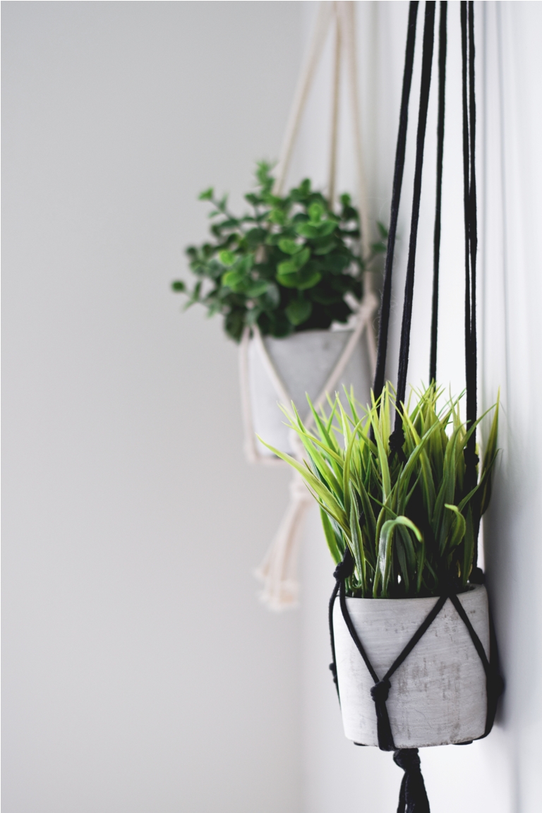decorative artificial plants hanging on macrame ro 2022 11 14 06 05 26 utc