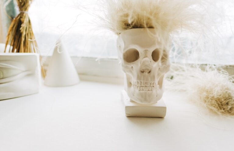 decorative skull sculpture with funny artificial hair.