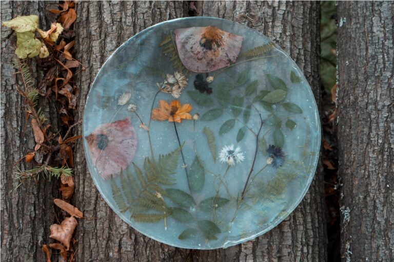 eco craft plate with natural plants and flowers 2022 11 09 08 45 01 utc