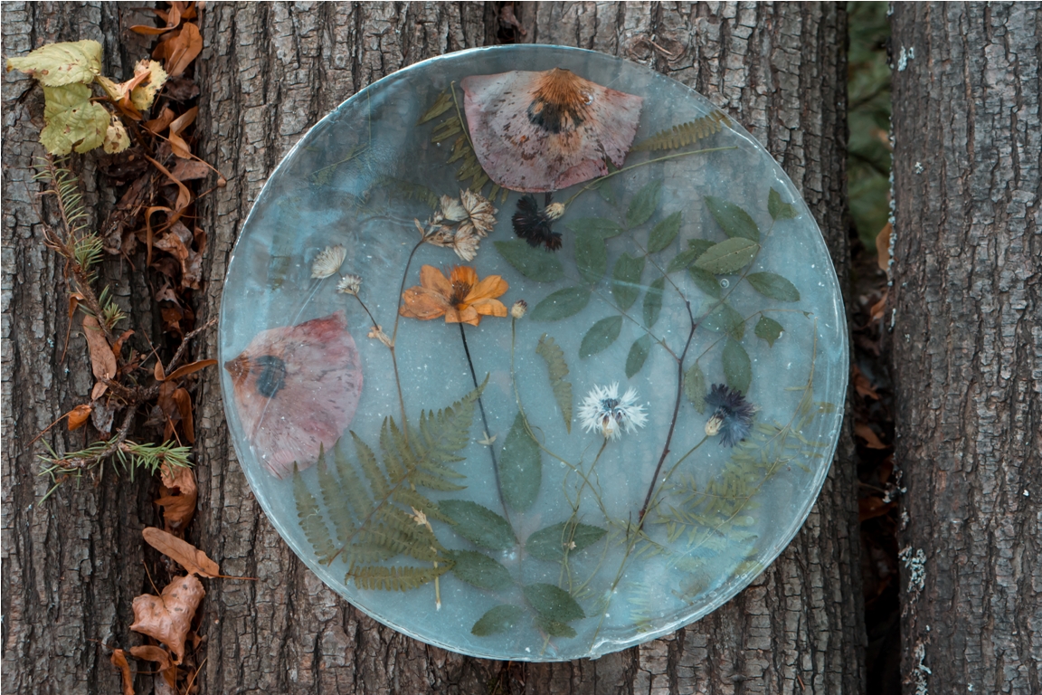 eco craft plate with natural plants and flowers 2022 11 09 08 45 01 utc