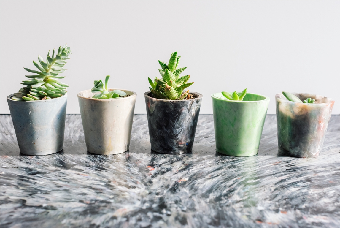 growing succulents in recycled plastic planters 2022 11 09 16 46 46 utc